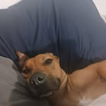 Martin Garrett - @greensweets420 - Instagram