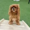 junemartingeiger - @junemartingeiger - TikTok