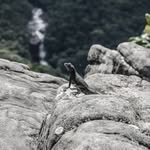 Martin Geiger - @mart.in.geiger - Instagram