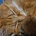 Martin Gendron - Facebook