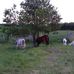 Martin Glazer - Facebook