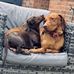 Martin Gooch - Facebook