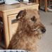 Martin Gooch - Facebook