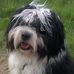 Martin Gottschalk - Facebook