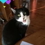 Martin Guay - @martinguay166 - Instagram