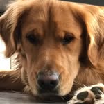 @martin_guay - Instagram