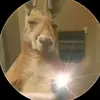 martin..07 cangurok - @martin.007.hacker - TikTok