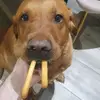 colorblind bi - @martin.o.hagan - TikTok