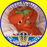 Martin Hagan - @martin.hagan.77 - Instagram