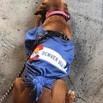 Martin Hancock - @martymarhan - Instagram