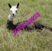 Martin Hanks - Facebook