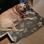 Martin Hanks - @martin.bobby.1293 - Instagram