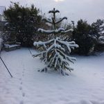 Martin Hanks - @oxonserve - Instagram