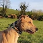Martin Hardwick - @martin.hardwick - Instagram