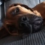 Austin Martin Heard - @austin33heard - Instagram