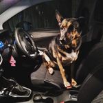 Martin Heaton - @martin.heaton.167 - Instagram