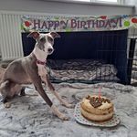 Martin Heaton - @martin.heaton.52 - Instagram