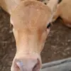 Martin Herbert_07 - @richardherbergome0 - TikTok