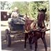 Martin Huva, tras la historia de Hermosillo. - Facebook