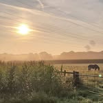Martin Hoffmann - @martin.hoffmann.1023 - Instagram