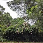 Martin H - @martin_holbrooke - Instagram