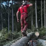 Martin Höll - Facebook