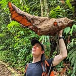 Martin Holland - @themartinholland - Instagram