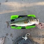 Martin Holman - @brokebassin - Instagram