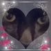 Martin Hubert - Facebook