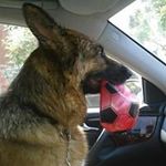 Martin Ingham - @ingham_martin - Instagram