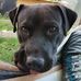 Martin Janda - Facebook