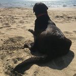 Martin Janßen - @martinjanssenxanten - Instagram