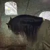 Martin Jauregui929 - @martinjauregui41 - TikTok