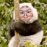 Martin Jiang - @jmx193213193 - Instagram