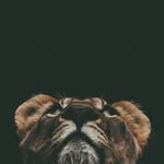 Martin Jiang - @4myladies - Instagram