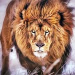 Martin Joffey - @martinjoffey - Instagram