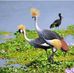 Martin Kastet - Facebook