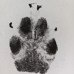 Martin Keck - @start.123456789 - Instagram