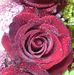 Martina Keck - Facebook