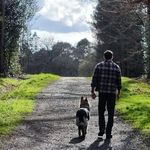 Martin Kehoe - @zapnut12 - Instagram