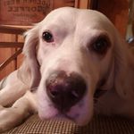 Martin Kerner - @maxsadieranger - Instagram