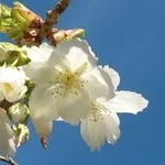 Martin Kiser - @healing.martin - Instagram