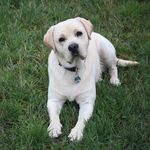 Martin Knapp - @martin.knapp24 - Instagram