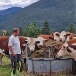 knut Martin Husstøyl - @knutmartinh - Instagram