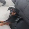 Martin Koller - @martin.koller5 - TikTok