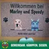 martinkoller - @martinkoller - TikTok
