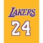 Martin ortiz - @martinlakersrams - Instagram