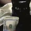 Lander Martin - @lander.martin - TikTok