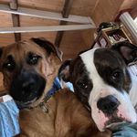 Martin Lapierre - @lapierre7145 - Instagram
