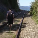 Martin Lapointe - @martin_dans_le_bois - Instagram